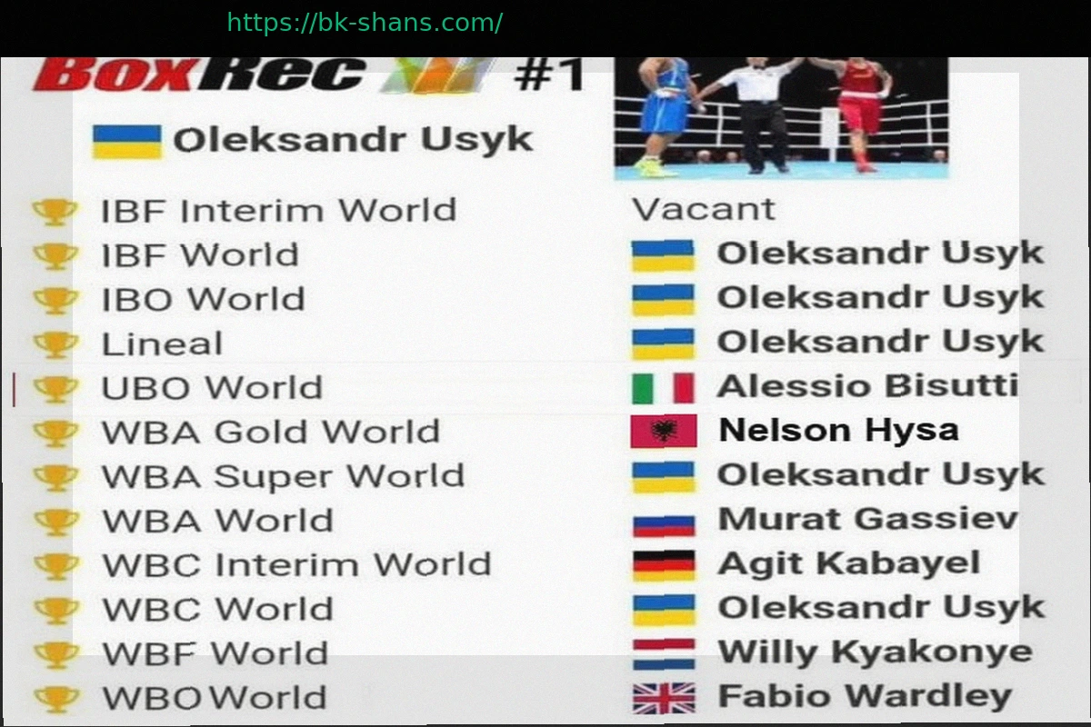 Preview Бокс: Шесть «Чемпионов Мира» в Тяжелом Весе и Проблемы Титулов