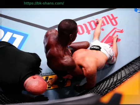 UFC Vegas 115: Яркая победа Яхъяева и неудача Бекоева – Полные итоги турнира