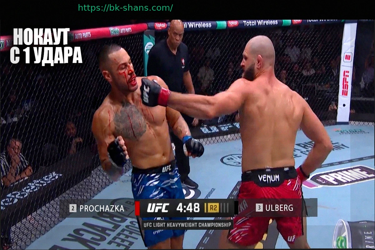 Preview UFC: Иржи Прохазка – Карлос Ульберг. Результаты из Майами LIVE