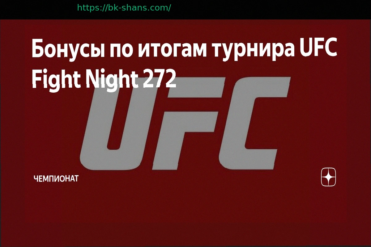Preview Бонусы по итогам турнира UFC Fight Night 272
