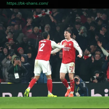 Превью PFL Pretoria | Шоу Шихана