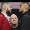 Прогноз на UFC 327: Прохазка против Ульберга, ставки и прогнозы на основе 10 000 симуляций