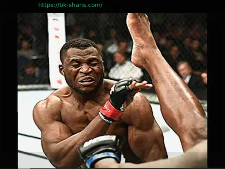 Фрэнсис Нганну назвал бой, который больше всего хочет провести перед завершением карьеры