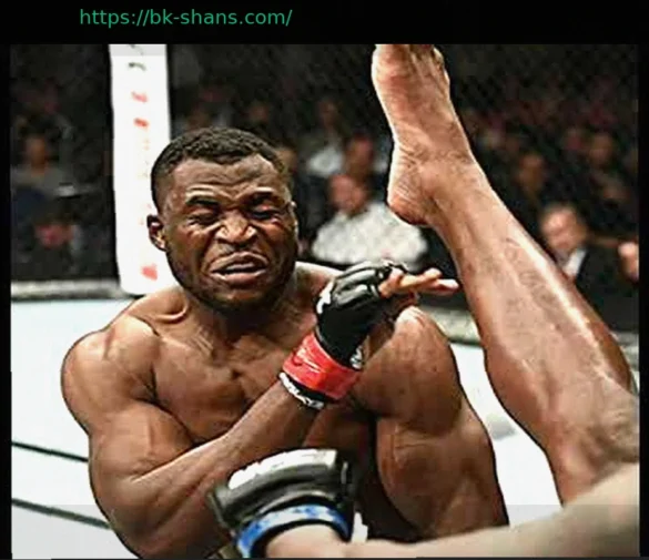 Фрэнсис Нганну назвал бой, который больше всего хочет провести перед завершением карьеры