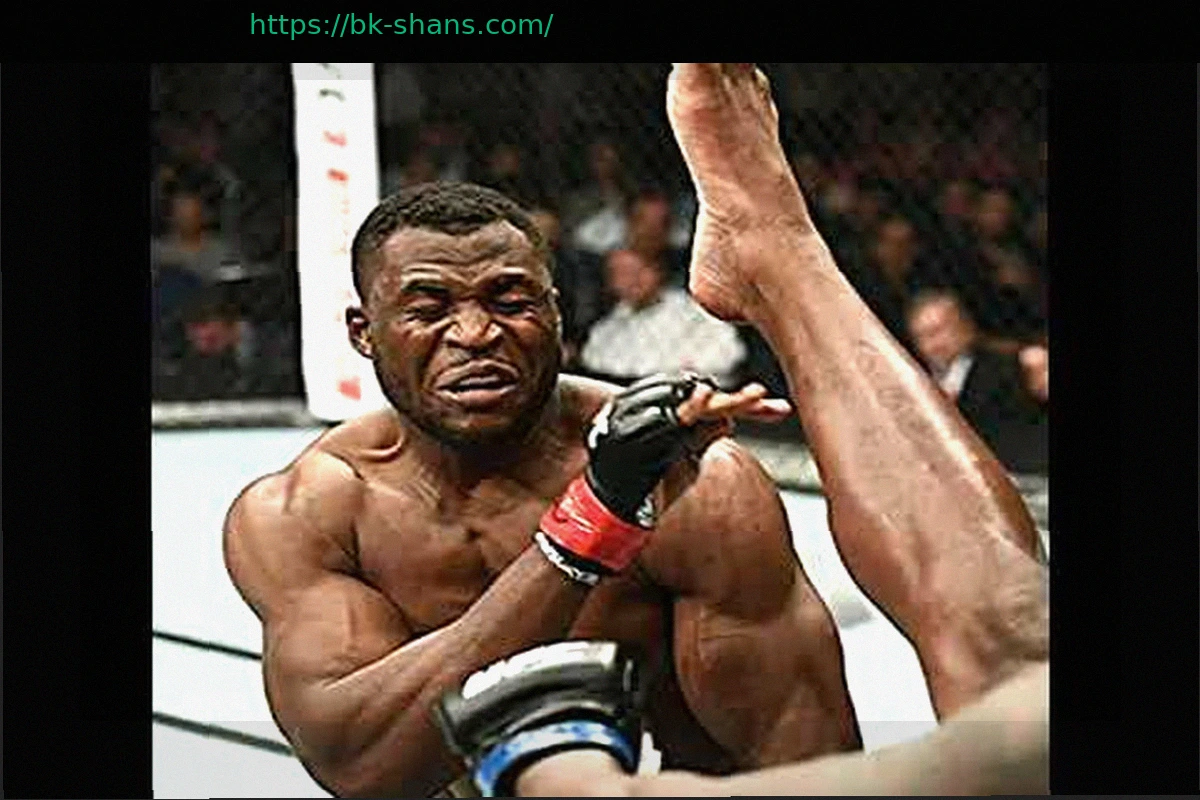 Preview Фрэнсис Нганну назвал бой, который больше всего хочет провести перед завершением карьеры