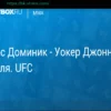 Предстоящий бой UFC: Доминик Рейес против Джонни Уокера – прогноз, трансляция и полный кард 12 апреля